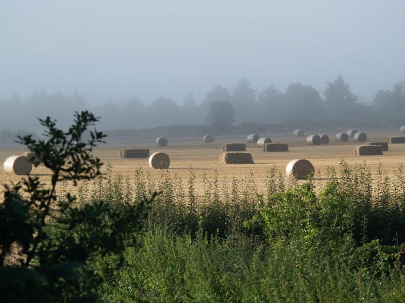 High Park Farm Vila York Exterior foto